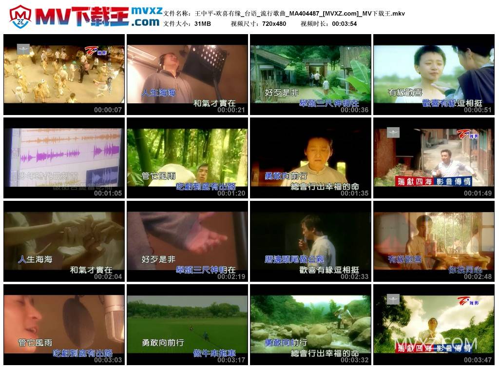 王中平-欢喜有缘_台语_流行歌曲_MA404487